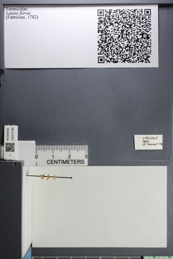 Media type: image;   Entomology 9204